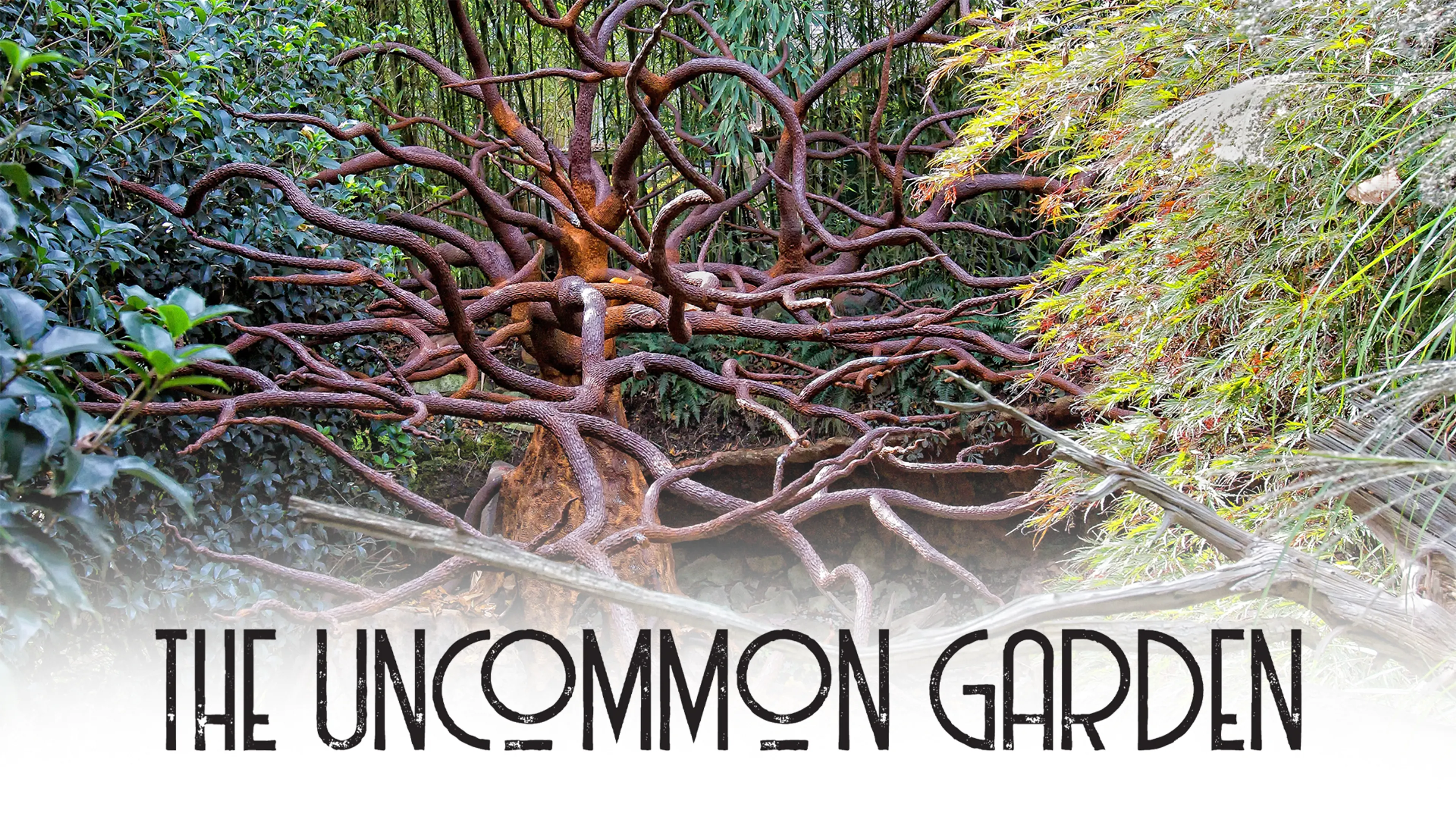 The Uncommon Garden poster